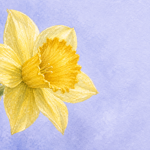Watercolor yellow daffodil opening toward dawn light for Hope