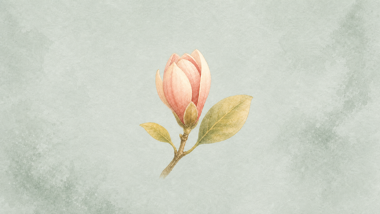 Centered watercolor magnolia bud beginning to open for Patience